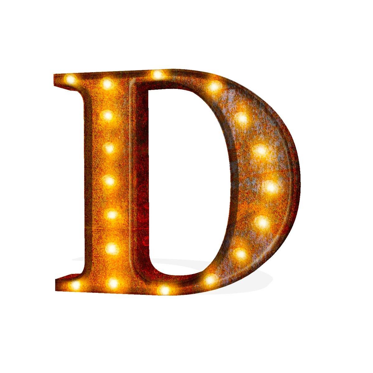 24” Letter D Lighted Vintage Marquee Letters (Rustic)